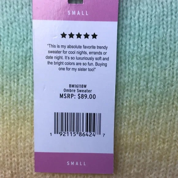 BB Dakota☀️Pastel striped Ombre sweater - Picture 9 of 11